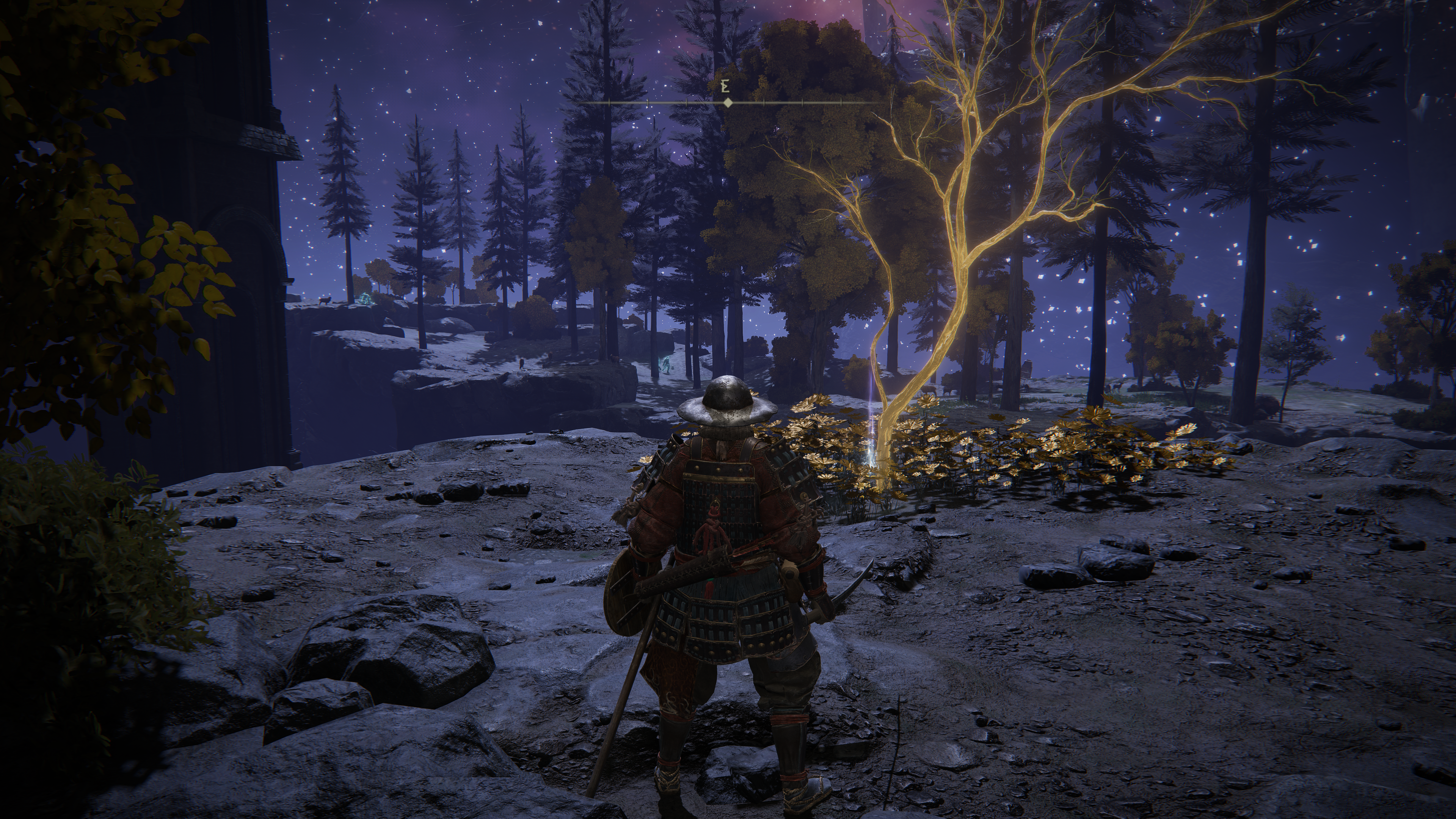 Elden Ring Golden Seed locations - 56
