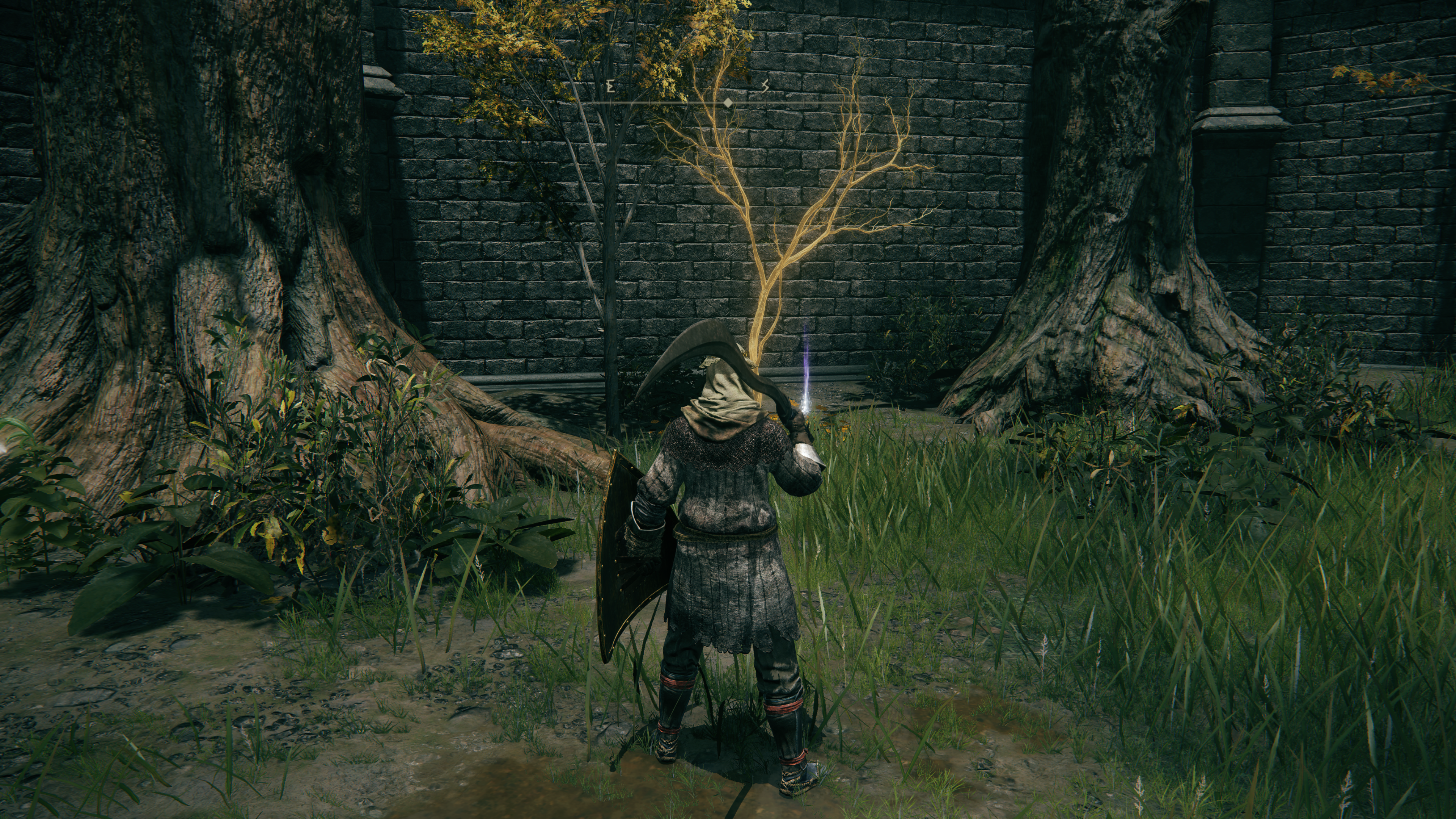 Elden Ring Golden Seed locations - 47