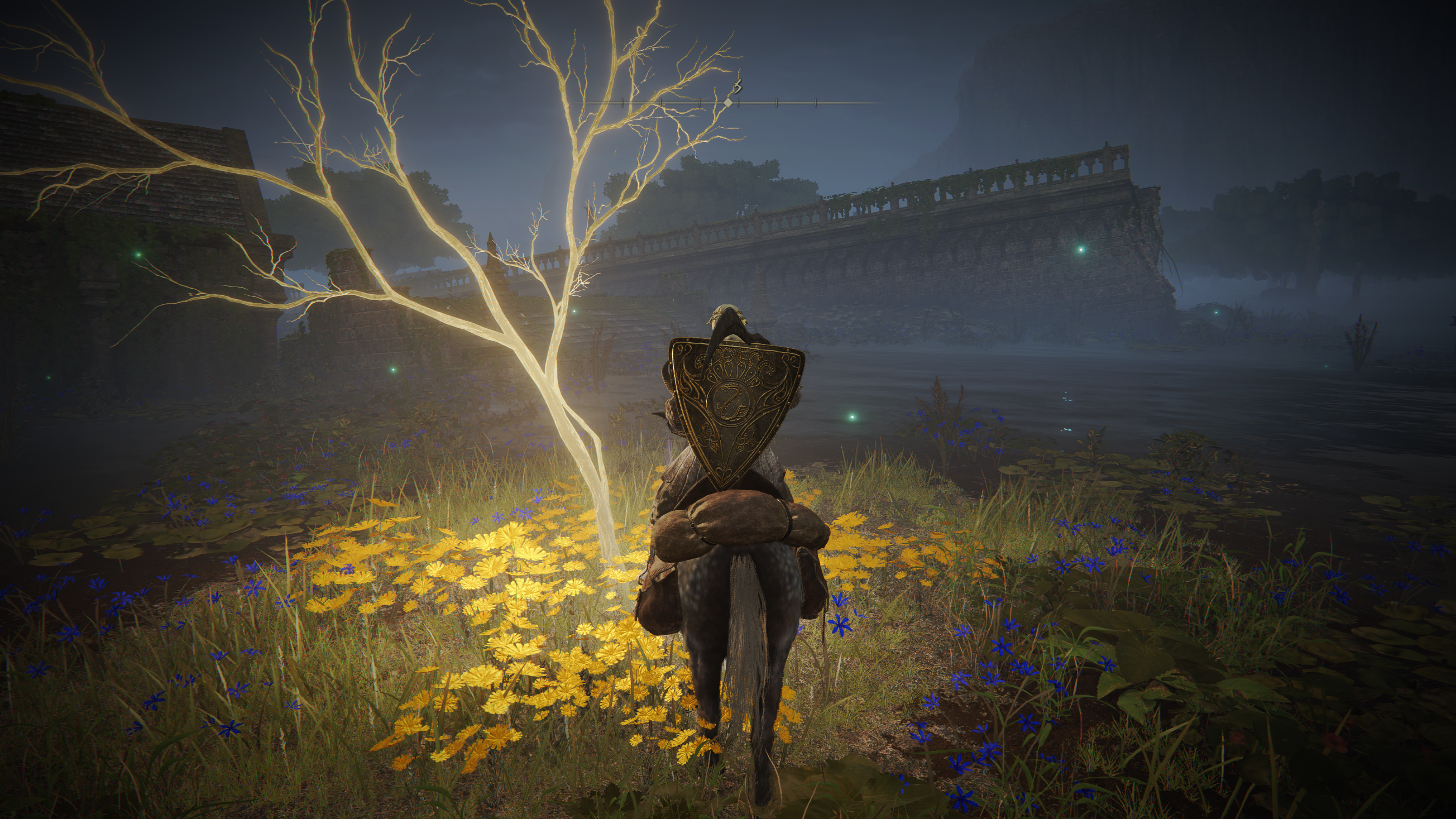 Elden Ring Golden Seed locations - 17