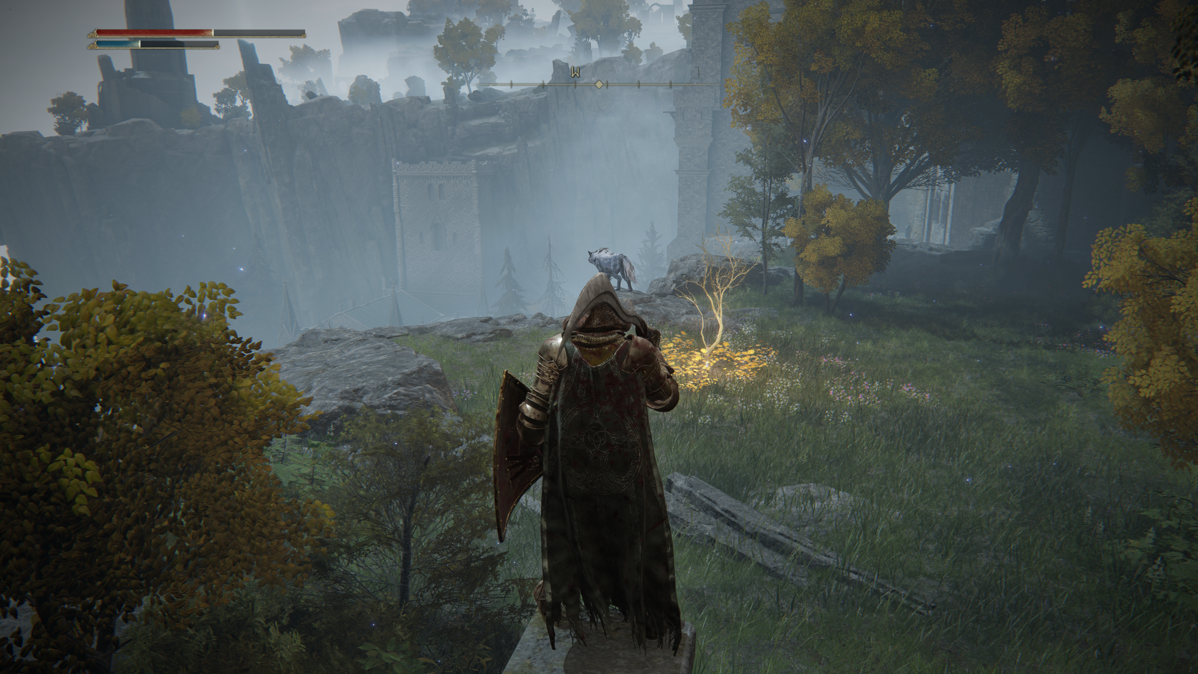 Elden Ring Golden Seed locations - 82