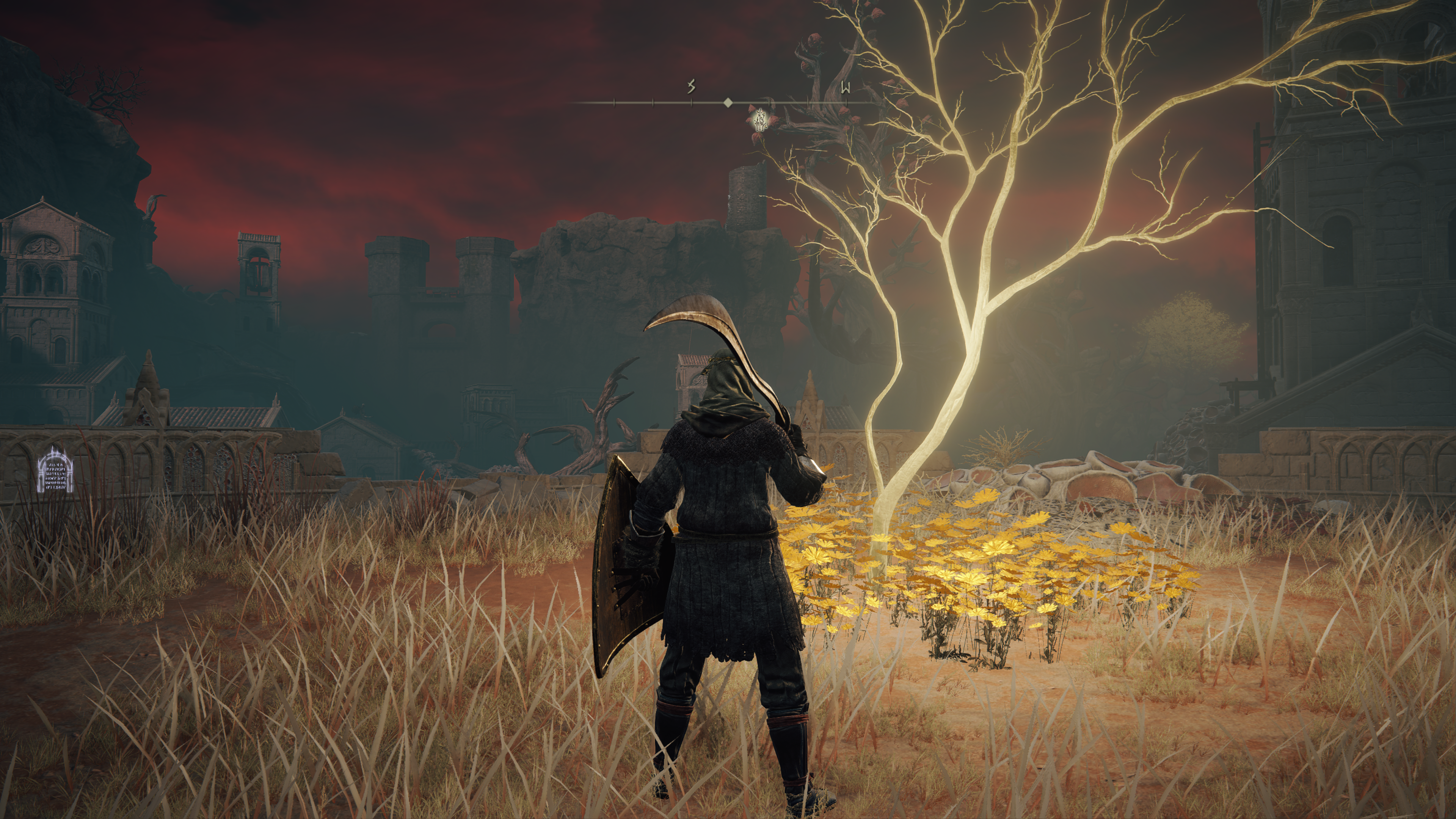 Elden Ring Golden Seed locations - 38