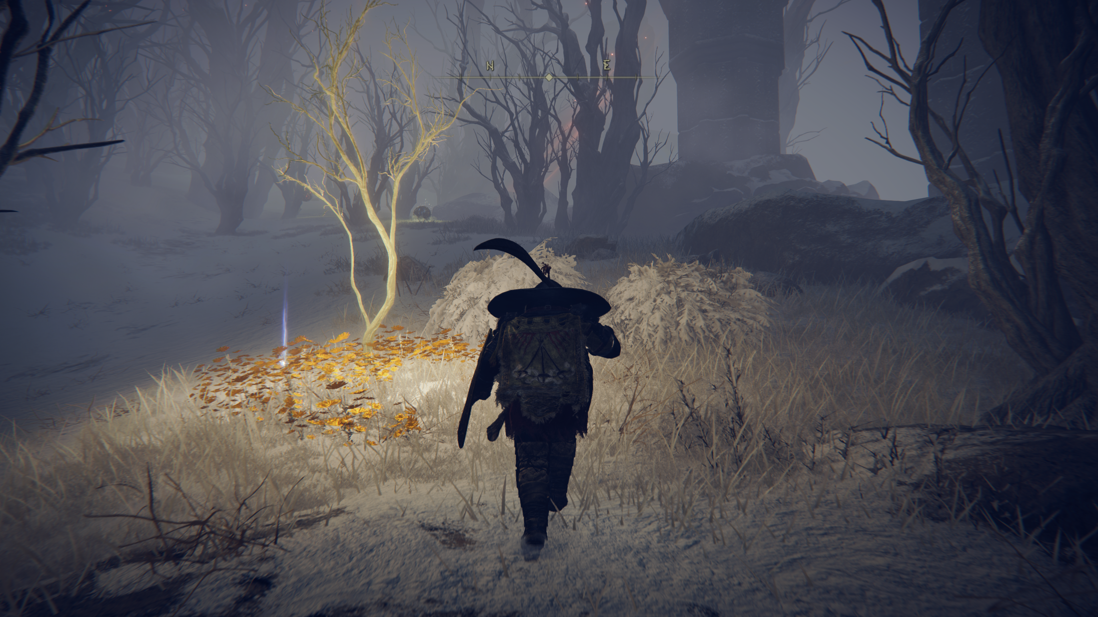 Elden Ring Golden Seed locations - 59