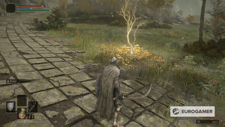 Elden Ring Golden Seed locations - 95