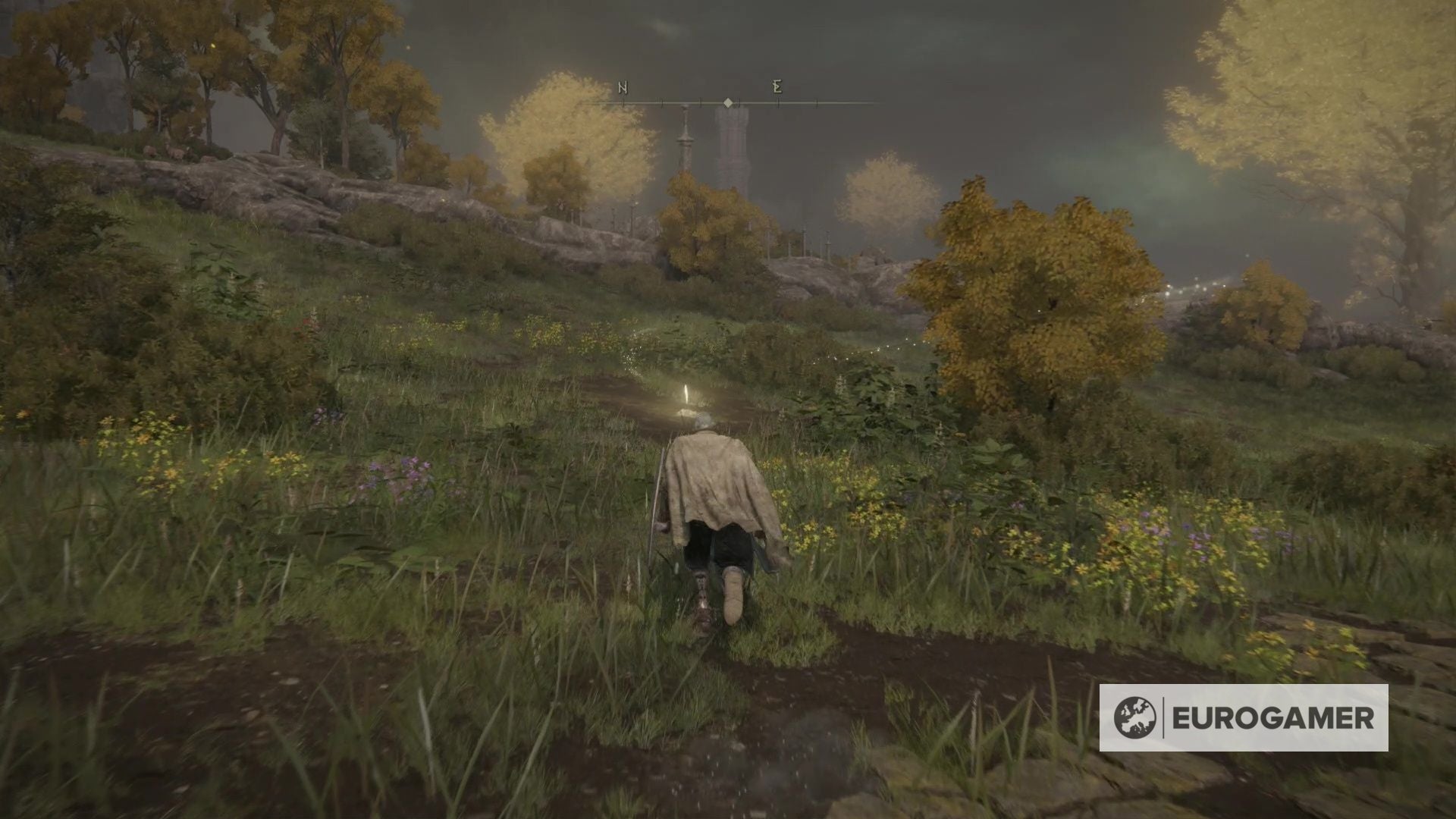 How to level up in Elden Ring and best stats to level first - 20