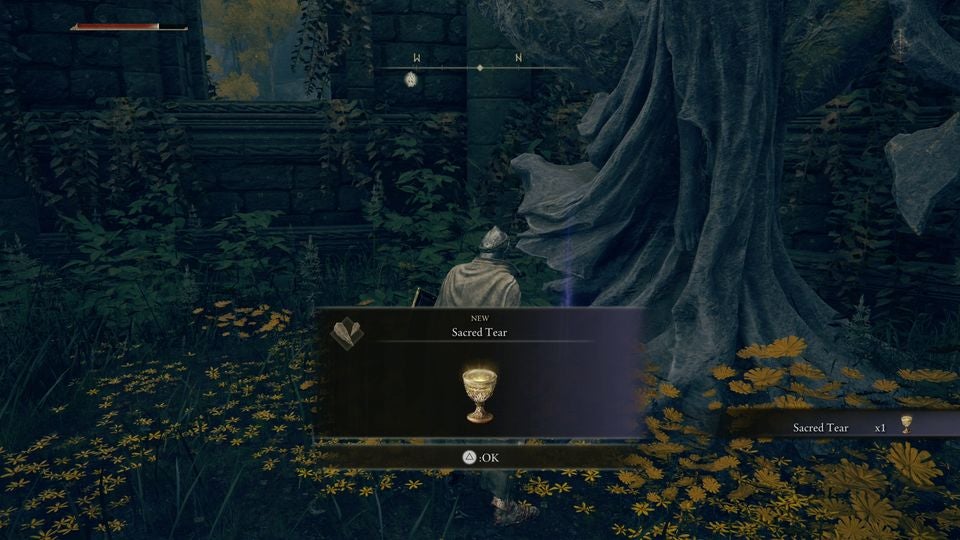 Elden Ring Sacred Tear locations - 52