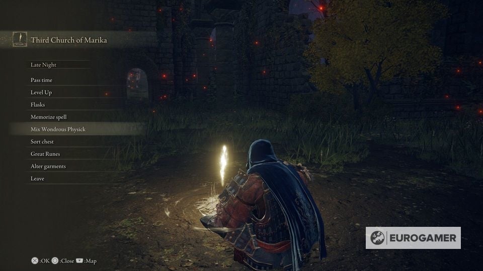 Elden Ring Third Church of Marika location to get the Flask of Wondrous Physick - 15
