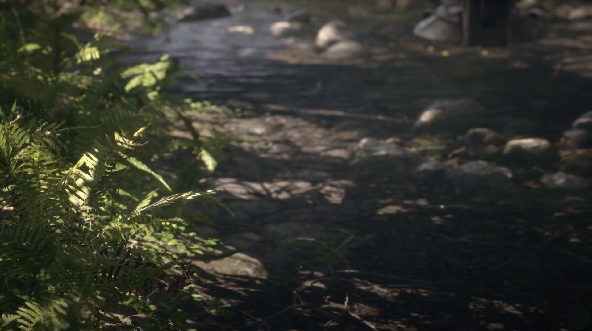 endor.jpg