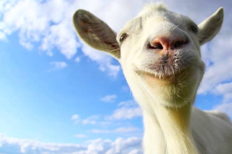 Imagen para Goat Simulator arrasa en iOS y Android