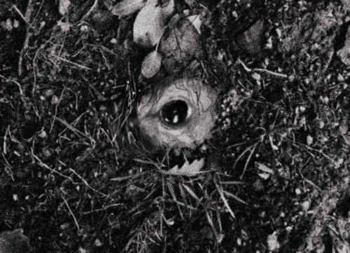 Image for Greg Buchanan on writing No Man's Sky, the Dark Souls TTRPG and Sixteen Horses