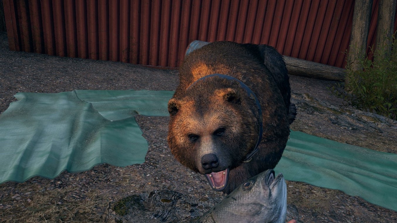 Imagem para Far Cry 5 - Como obter X-burger, o urso, qual a sua Localização e Habilidades