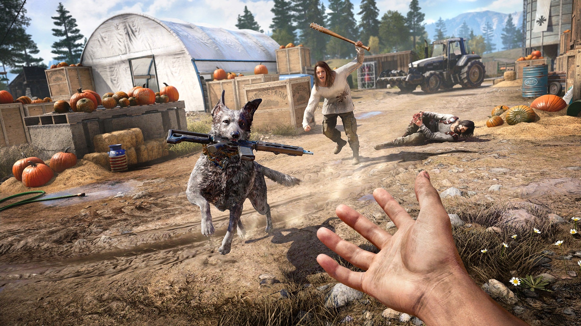 Obrazki dla Far Cry 5 dostał natywne 60 FPS na PS5 i Xbox Series X/S
