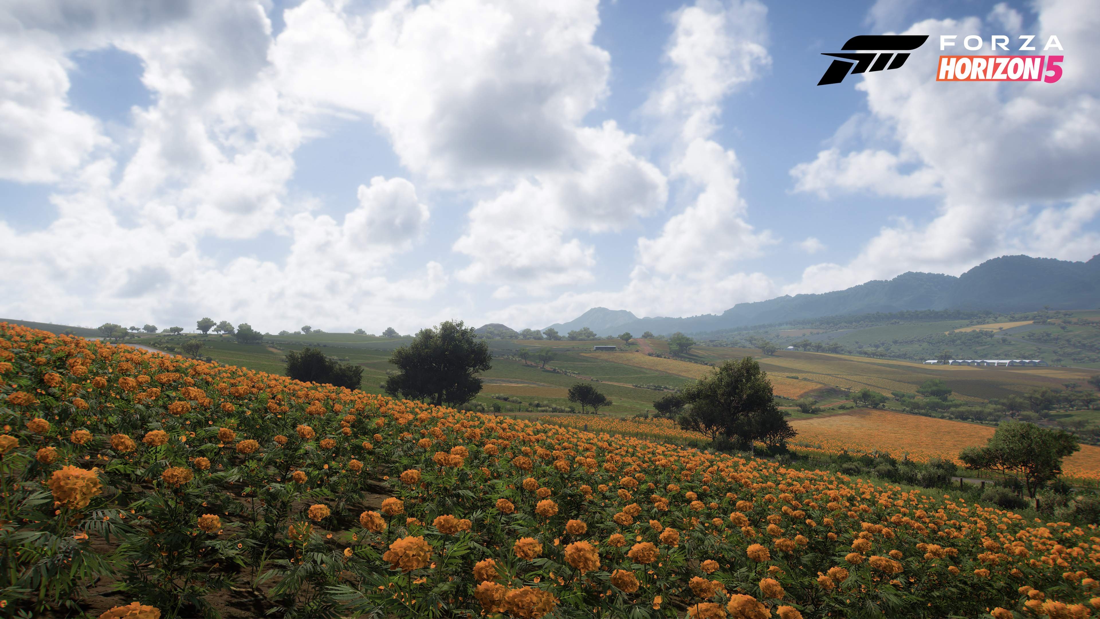 Forza Horizon 5 is a playable tourist board ad   in a good way - 32