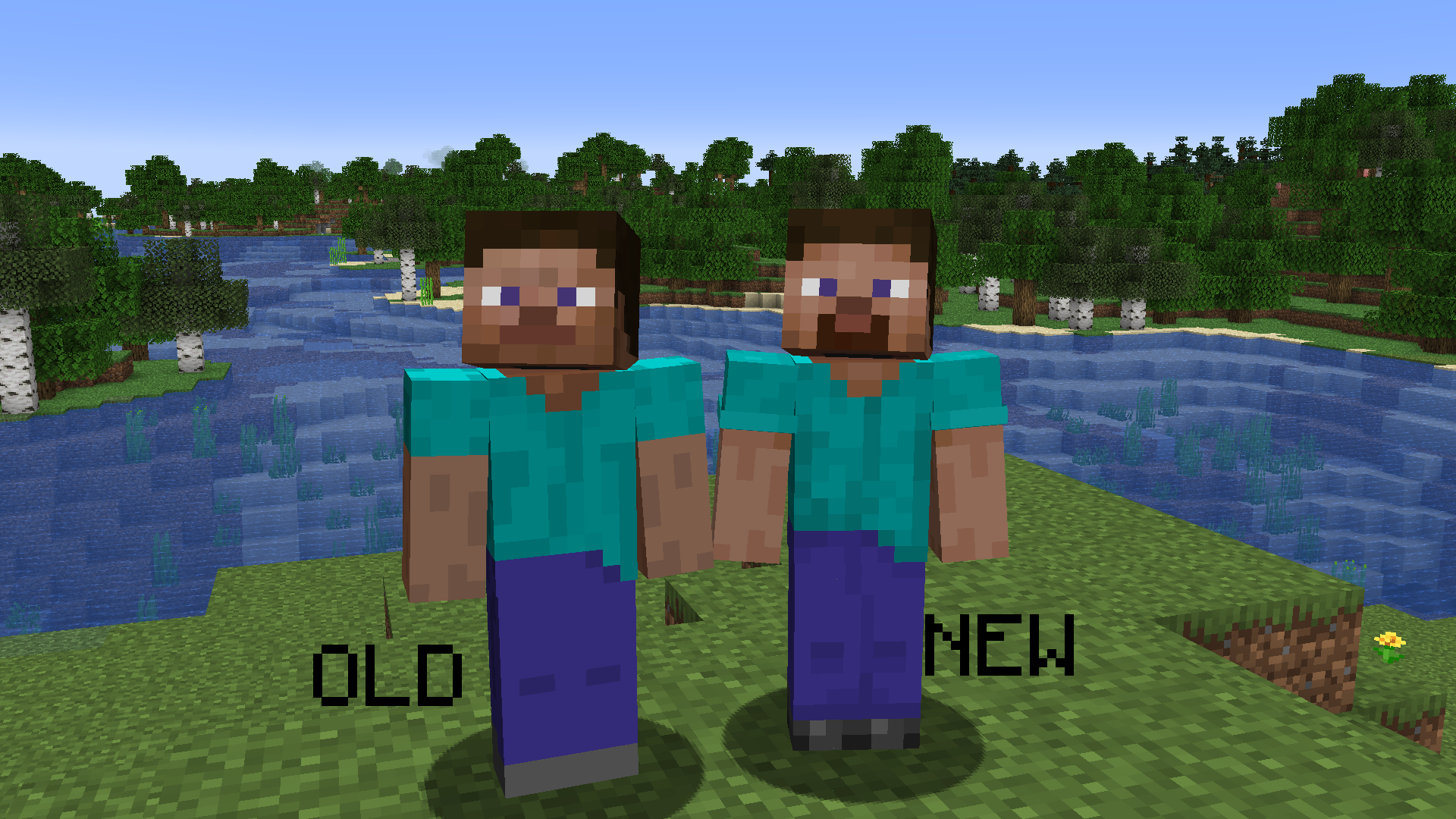 A Minecraft Steve comparison picture.