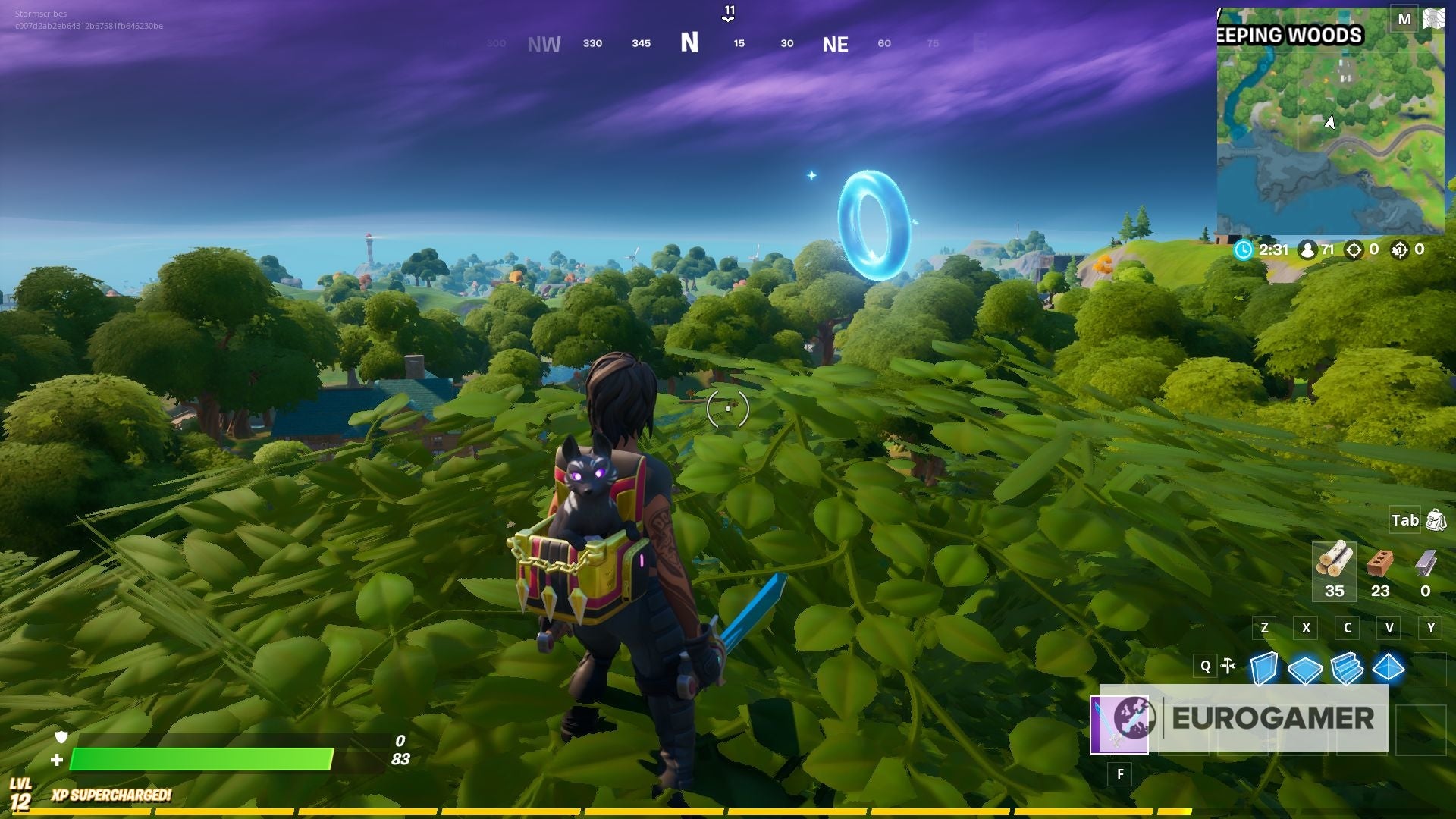 Fortnite Floating Rings at Weeping Woods explained - 40