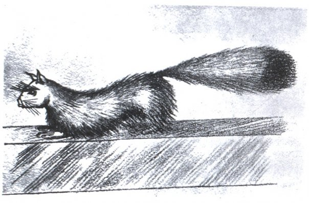 Someone should make a game about  Gef the Talking Mongoose - 93