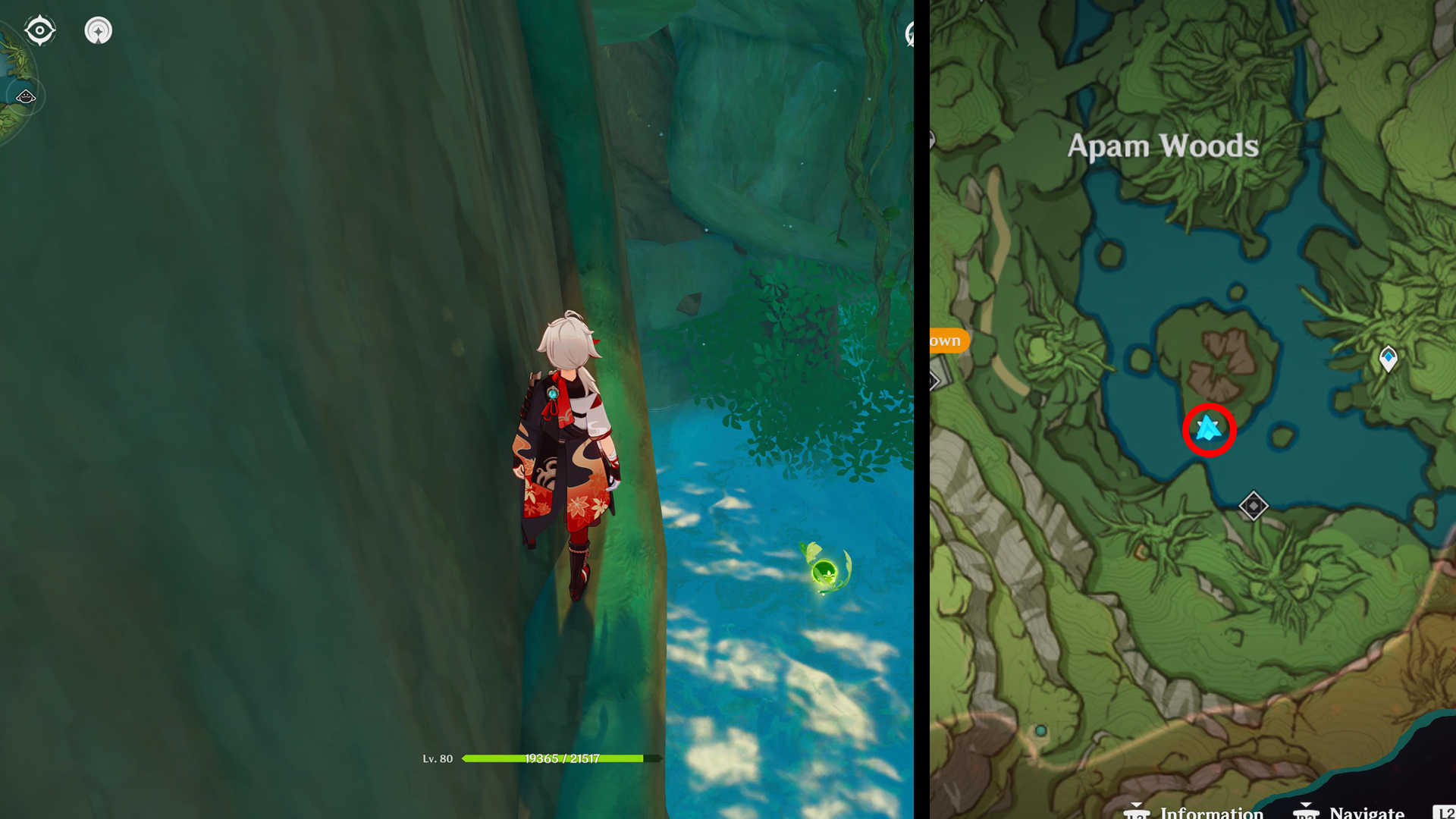 Genshin Impact Dendroculus locations - 81
