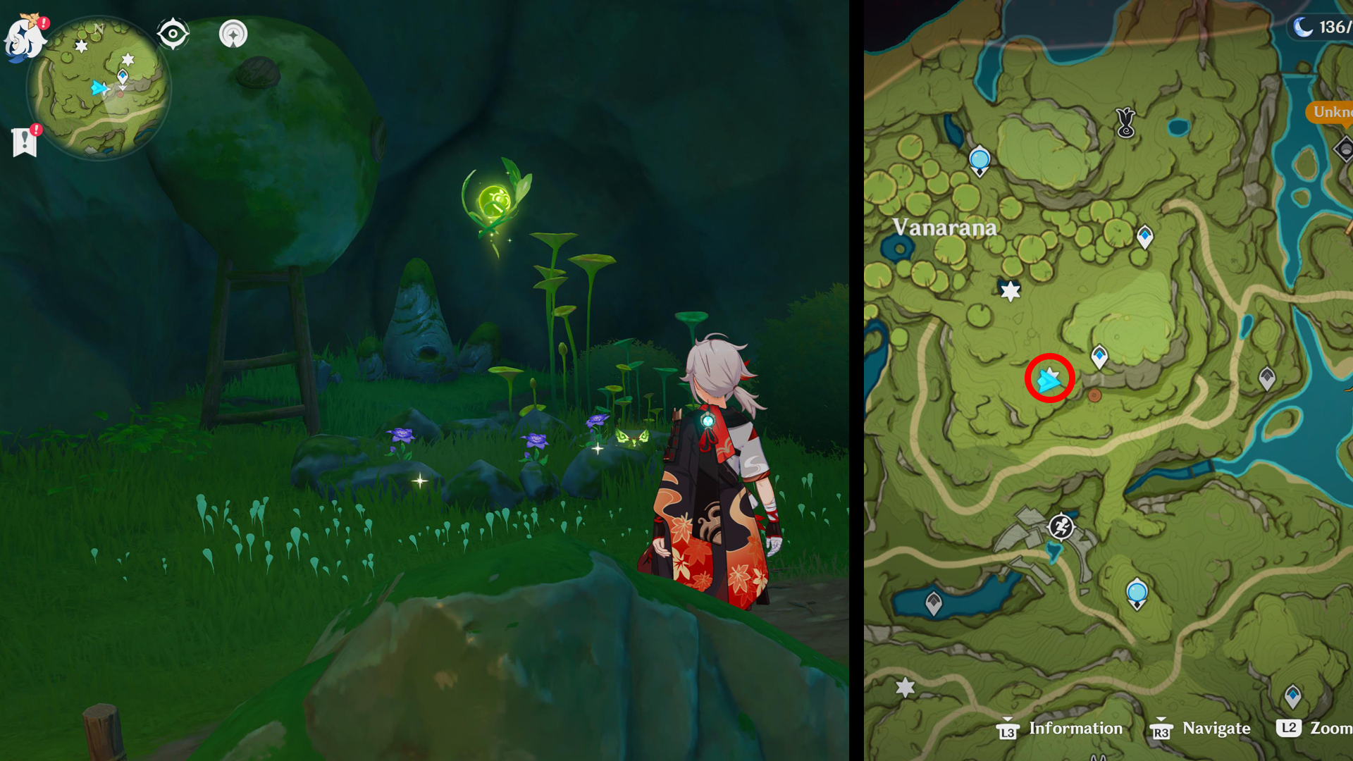 Genshin Impact Dendroculus locations - 42