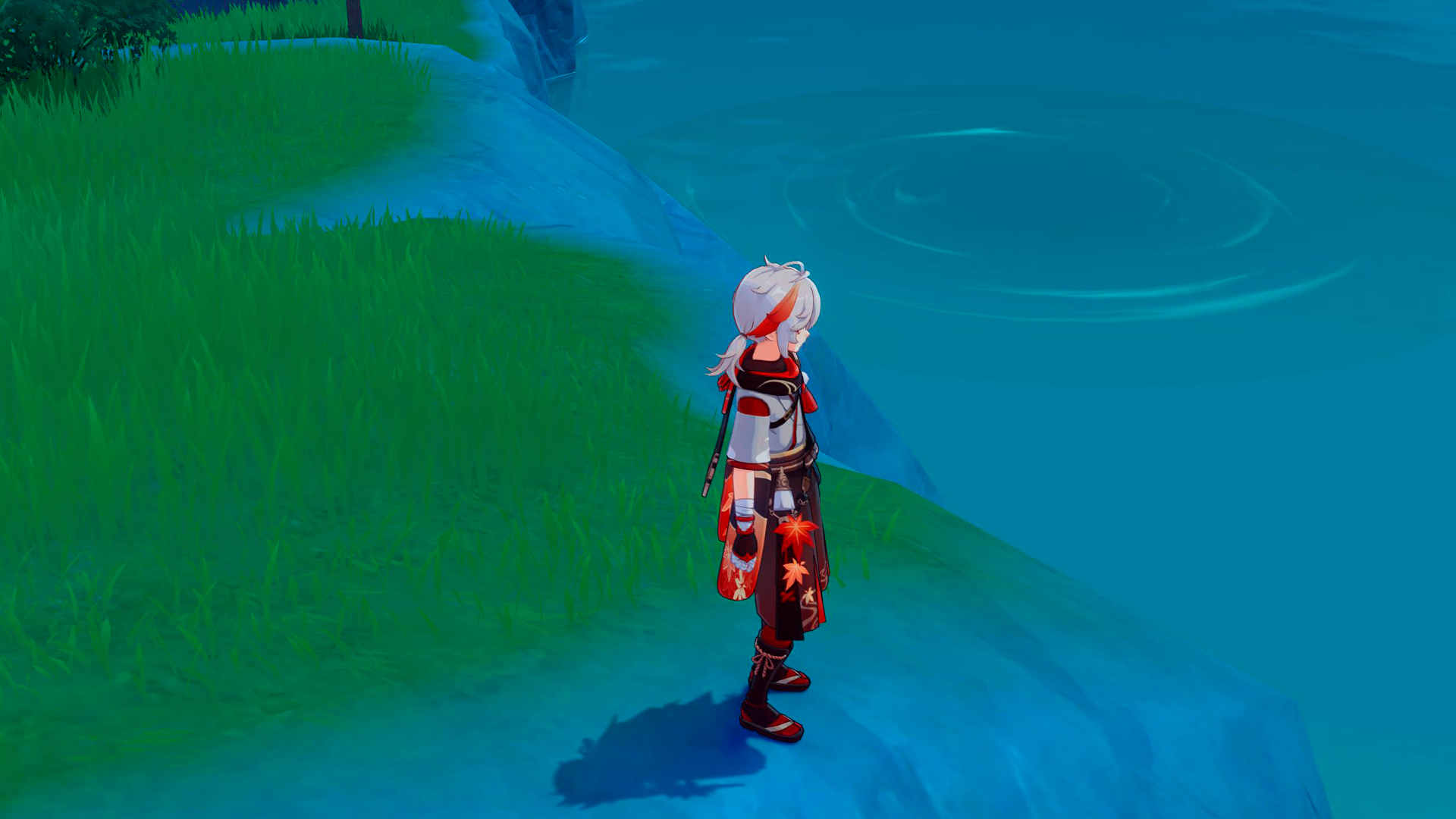 Genshin Impact Fishing Spot locations  including which fish can be caught and when they spawn - 12