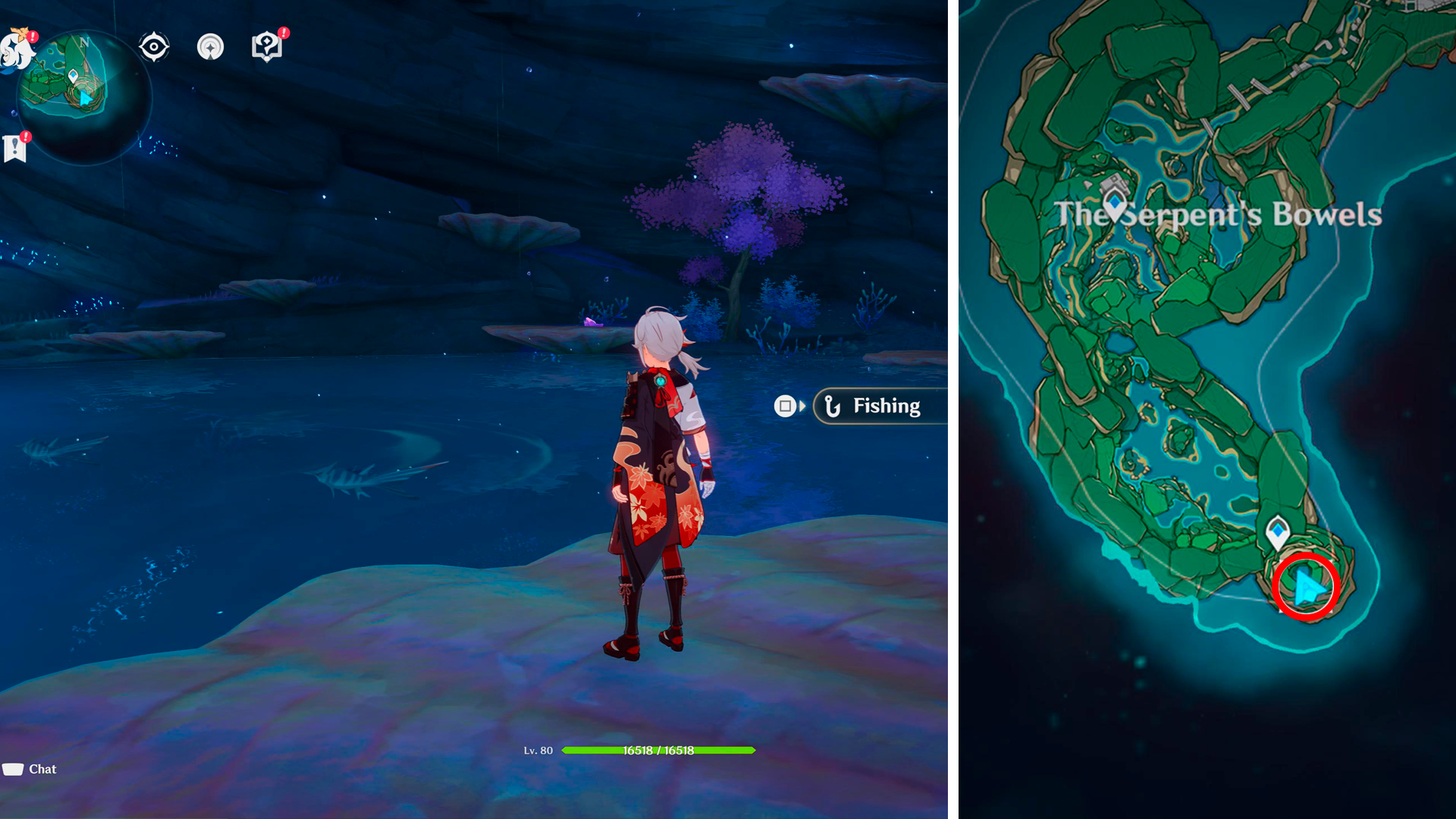 Genshin Impact Fishing Spot locations  including which fish can be caught and when they spawn - 37