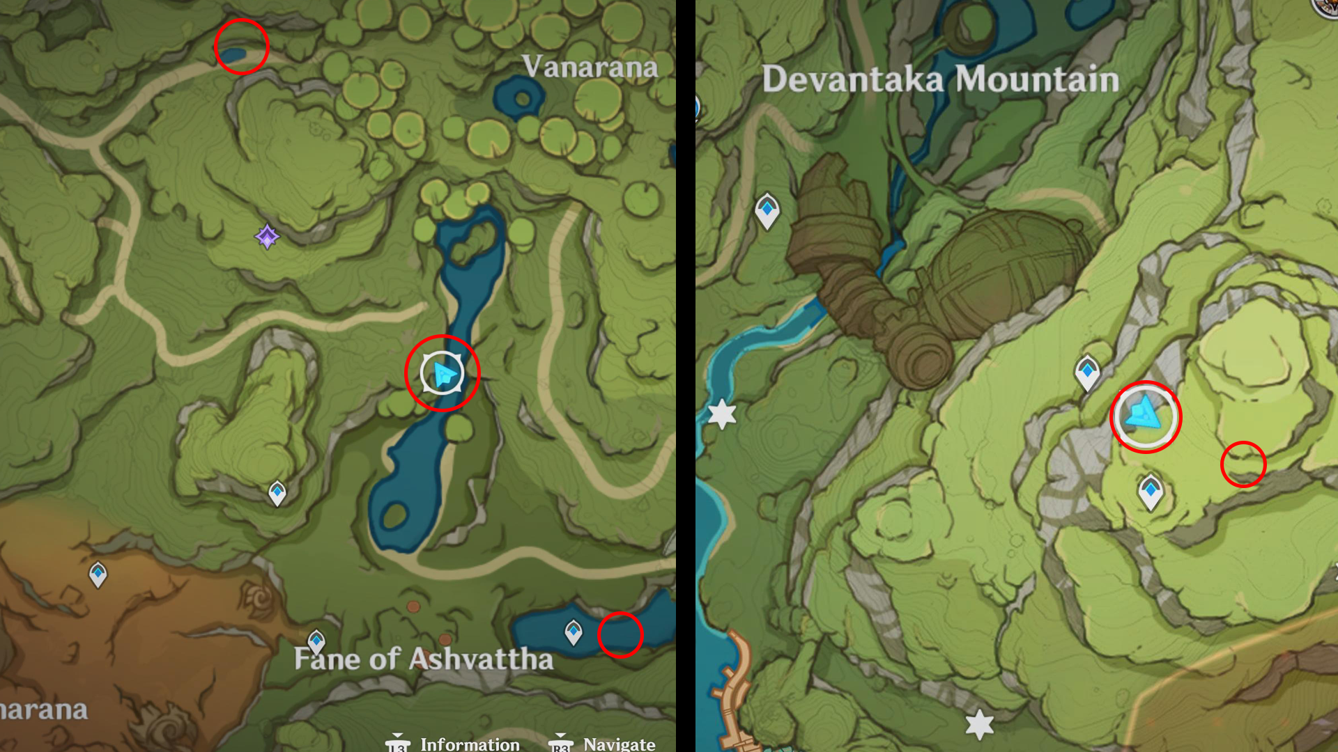 Genshin Impact Kalpalata Lotus locations and where to find Kalpalata Lotus - 59
