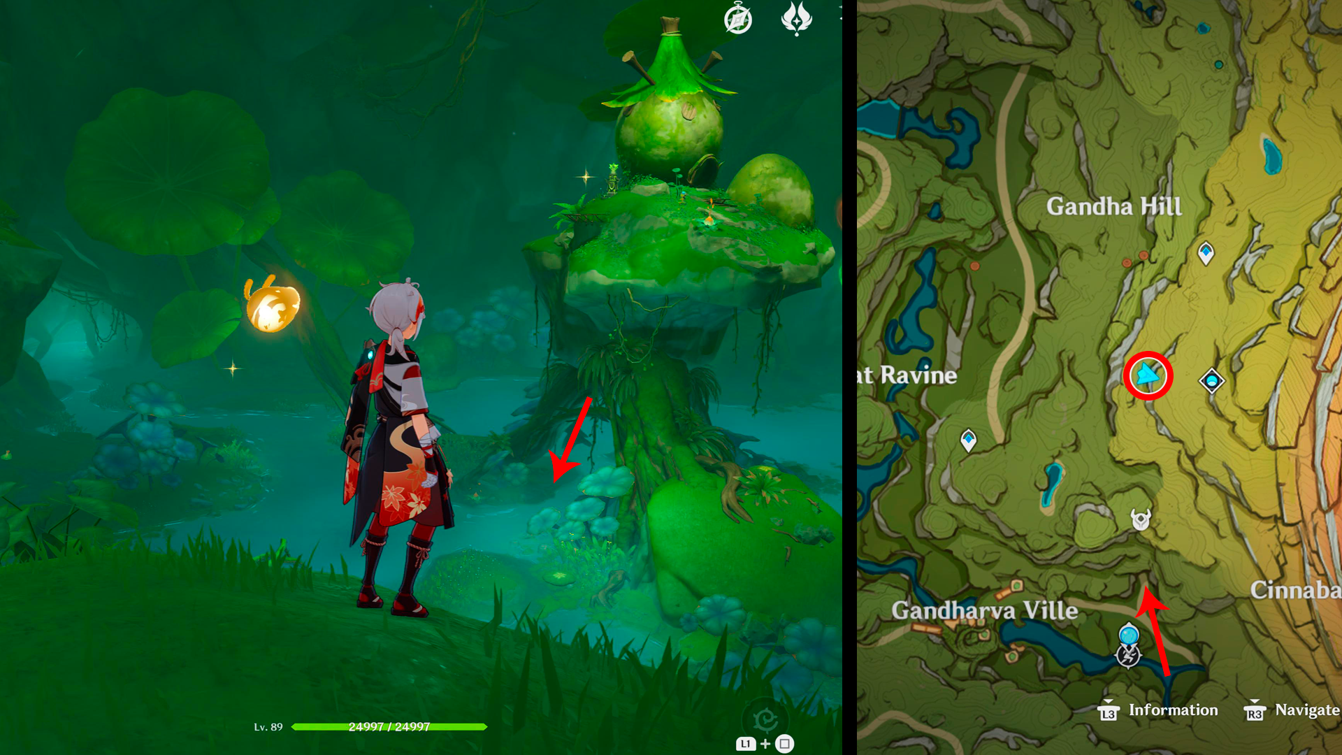 Genshin Impact Static Views quest locations and how to find the Shriveled Seed - 60