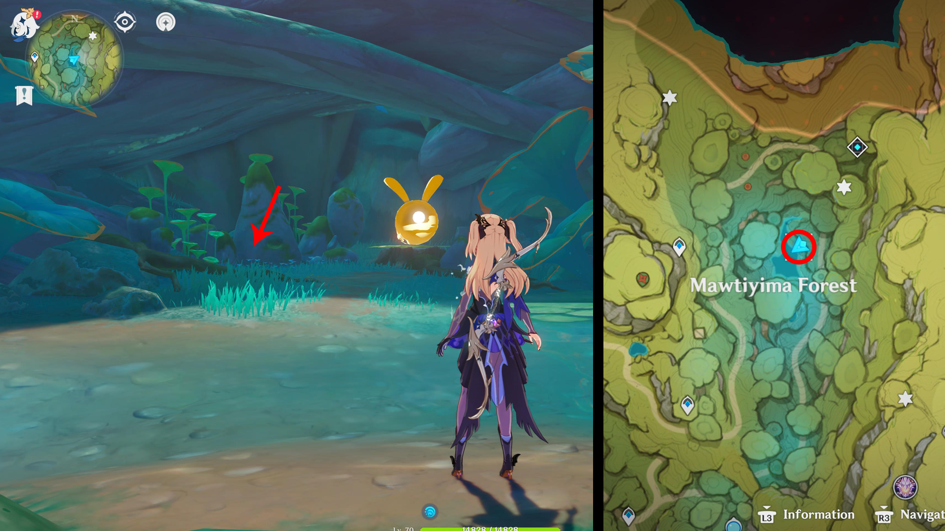 Genshin Impact Static Views quest locations and how to find the Shriveled Seed - 45