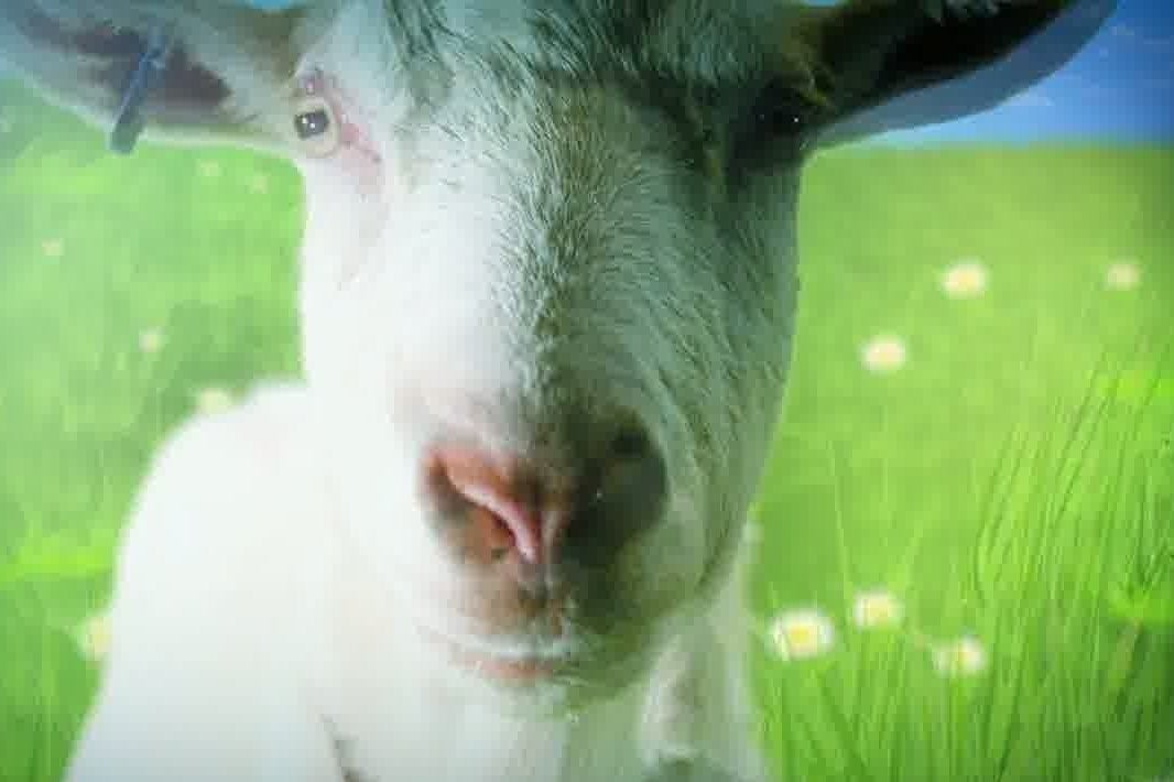 Imagen para Fecha para Goat Simulator en consolas Xbox
