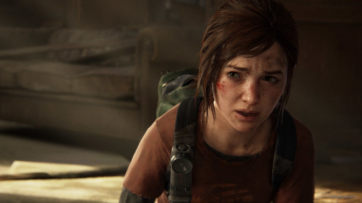 Obrazki dla Remake The Last of Us już oficjalnie. Cena to 80 euro