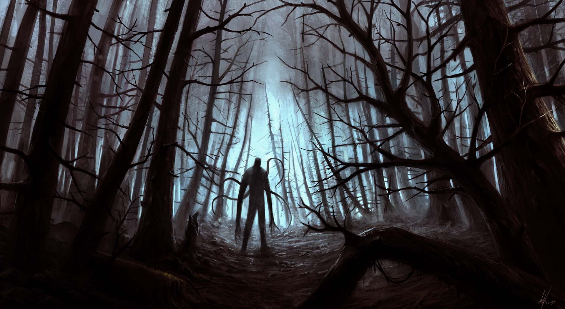 Obrazki dla Horror Slender: The Arrival nawiedzi PlayStation 4, Xbox One i Wii U - raport