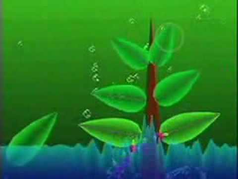 Music Week  Learning to love Electroplankton s Hanenbow - 9