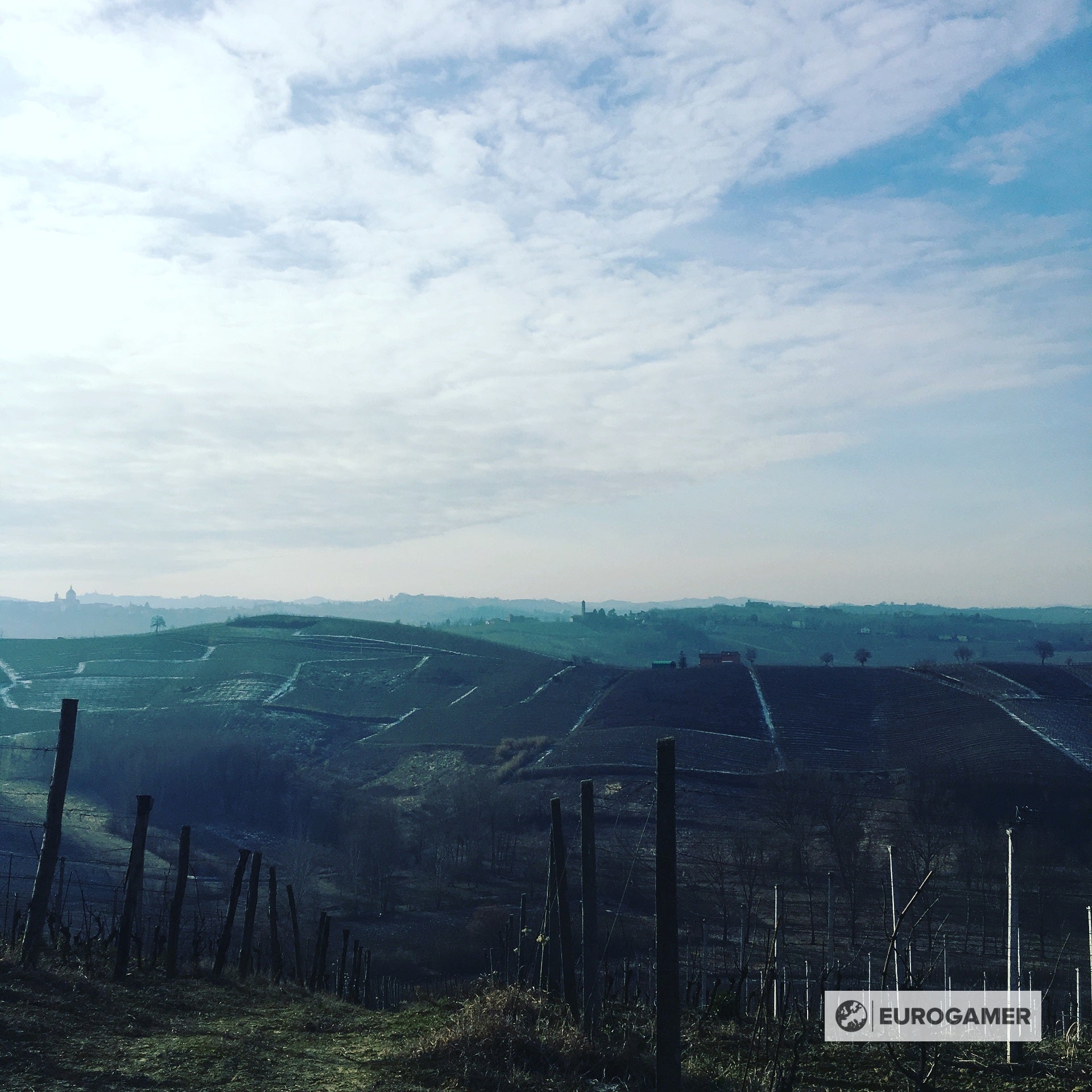 Courage and stupidity  The real life story behind winemaking game Hundred Days - 78