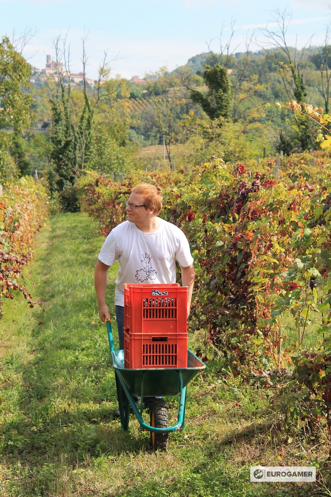 Courage and stupidity  The real life story behind winemaking game Hundred Days - 56
