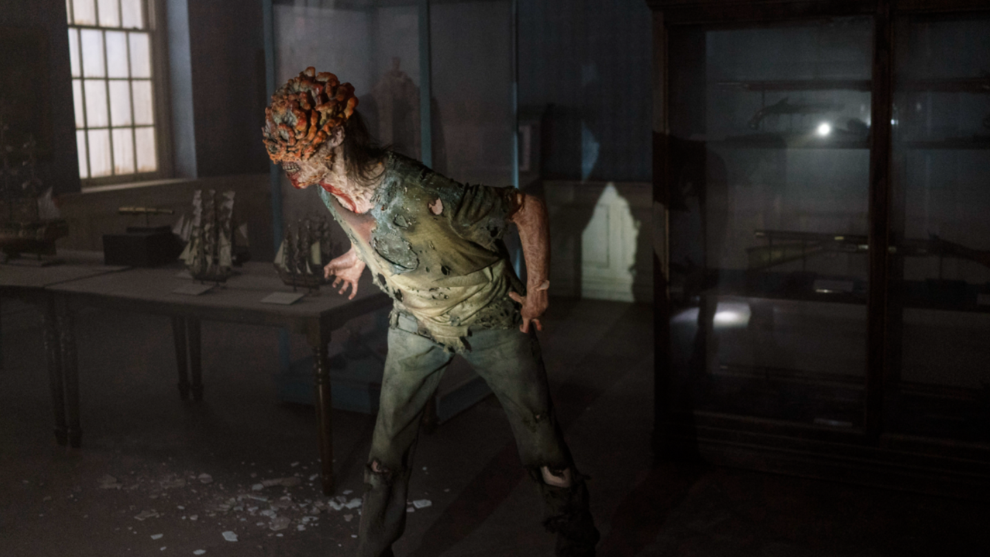Image for Mycologist seeks to calm fungal worries from The Last of Us TV show