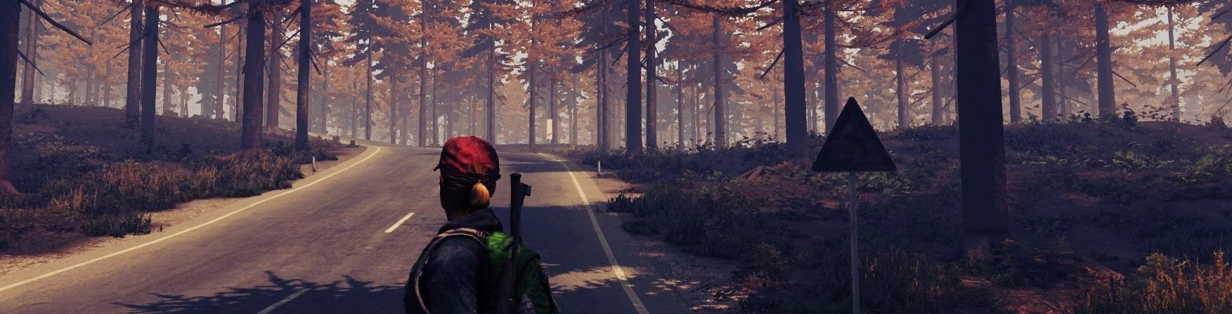 Image for Is DayZ still coming out on console and, you know, WTH is going on?