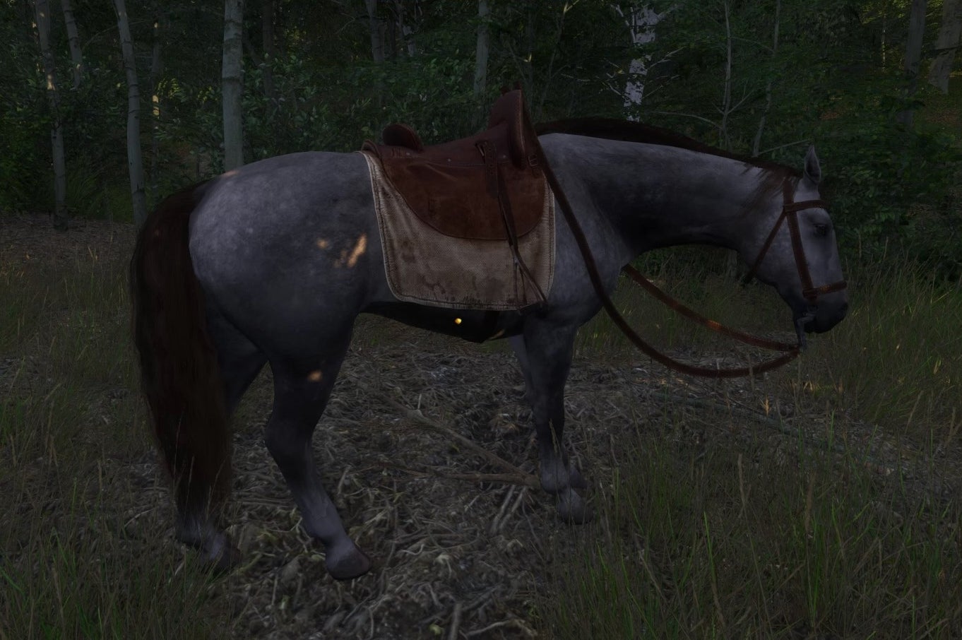 Bilder zu Kingdom Come Deliverance - Nebenquest: Das ausgebüxte Pferd