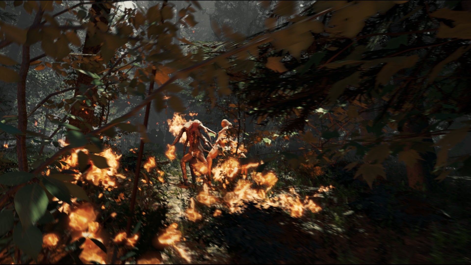 Image for The Forest priced and dated for Early Access