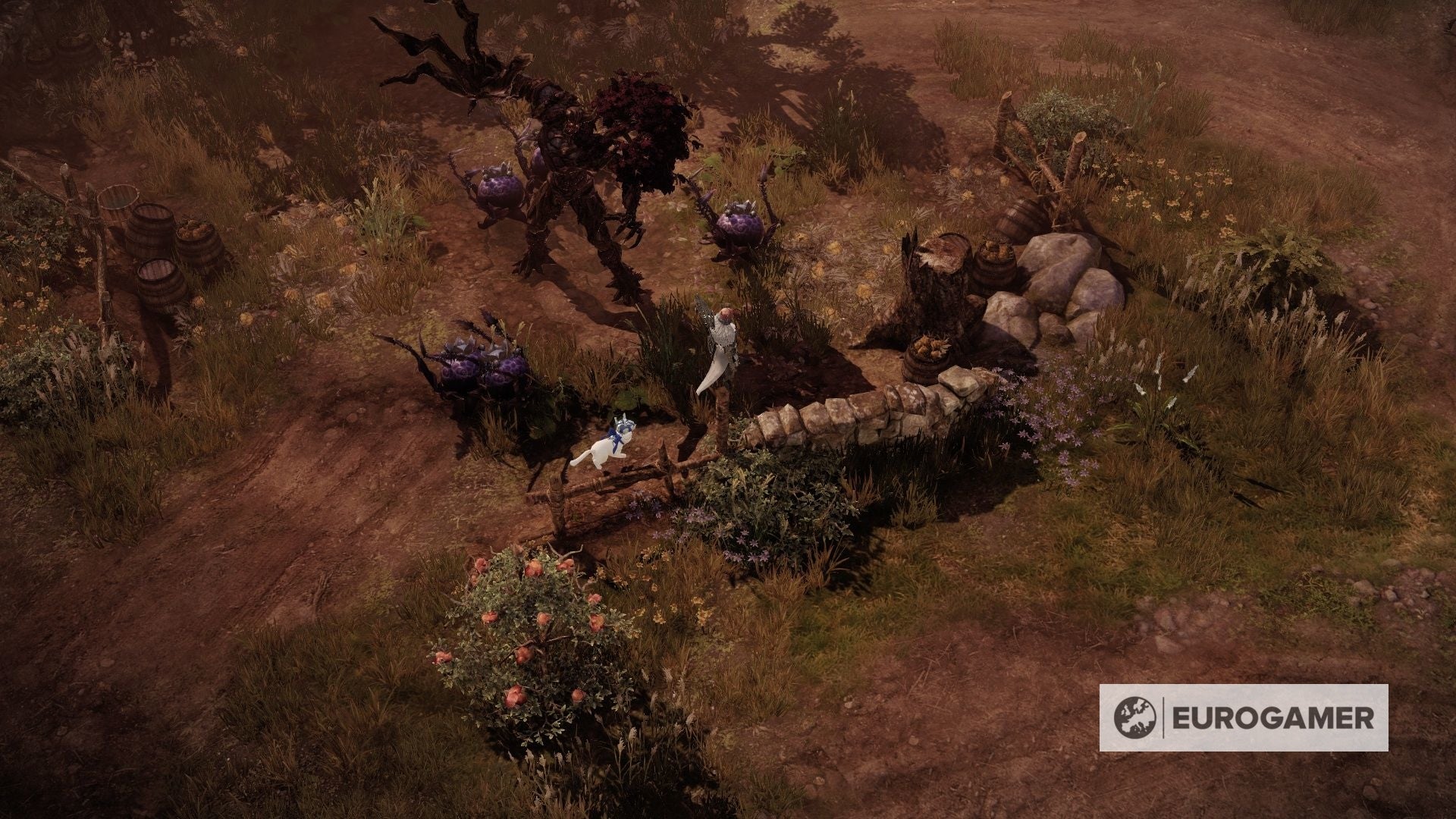 Lost Ark Rambutan Orchard Secret area location  quest rewards - 61