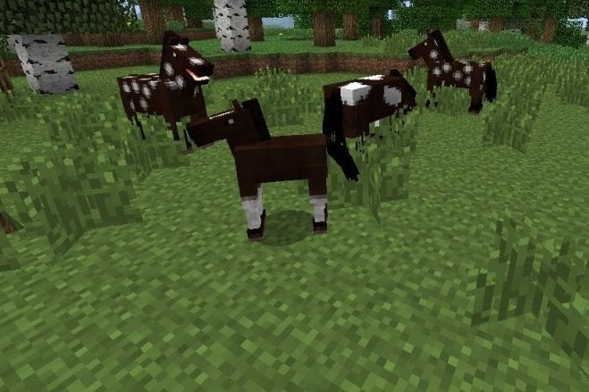 Imagen para Minecraft ya tiene caballos en Xbox 360 y Xbox One