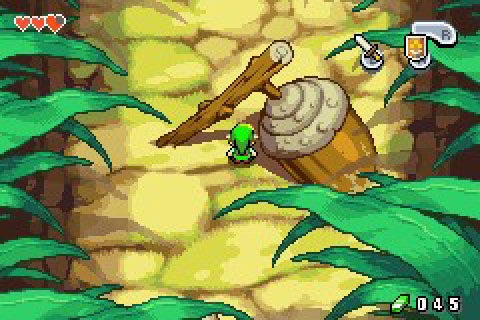 Minish cap kapak