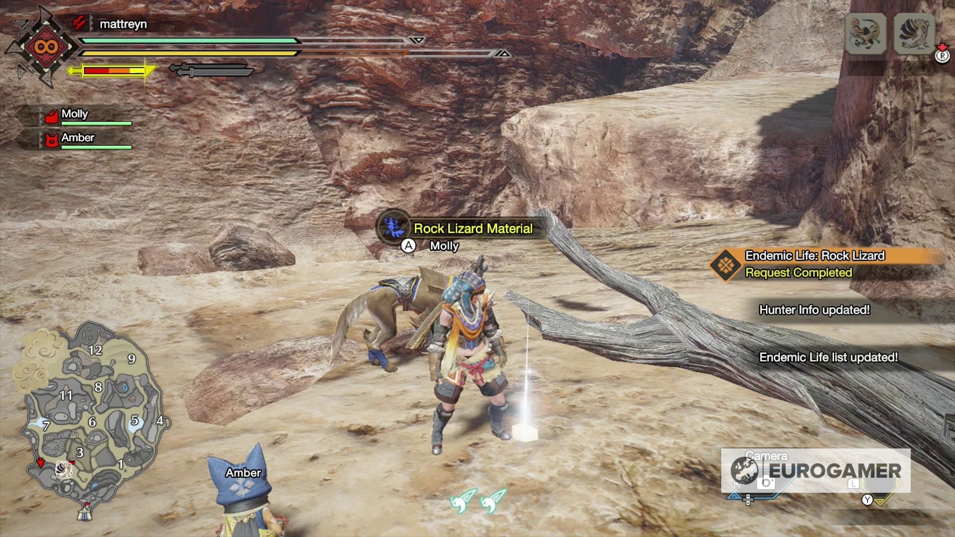 Monster Hunter Rise   Rock Lizard location  How to complete the Endemic Life  Rock Lizard request explained - 81