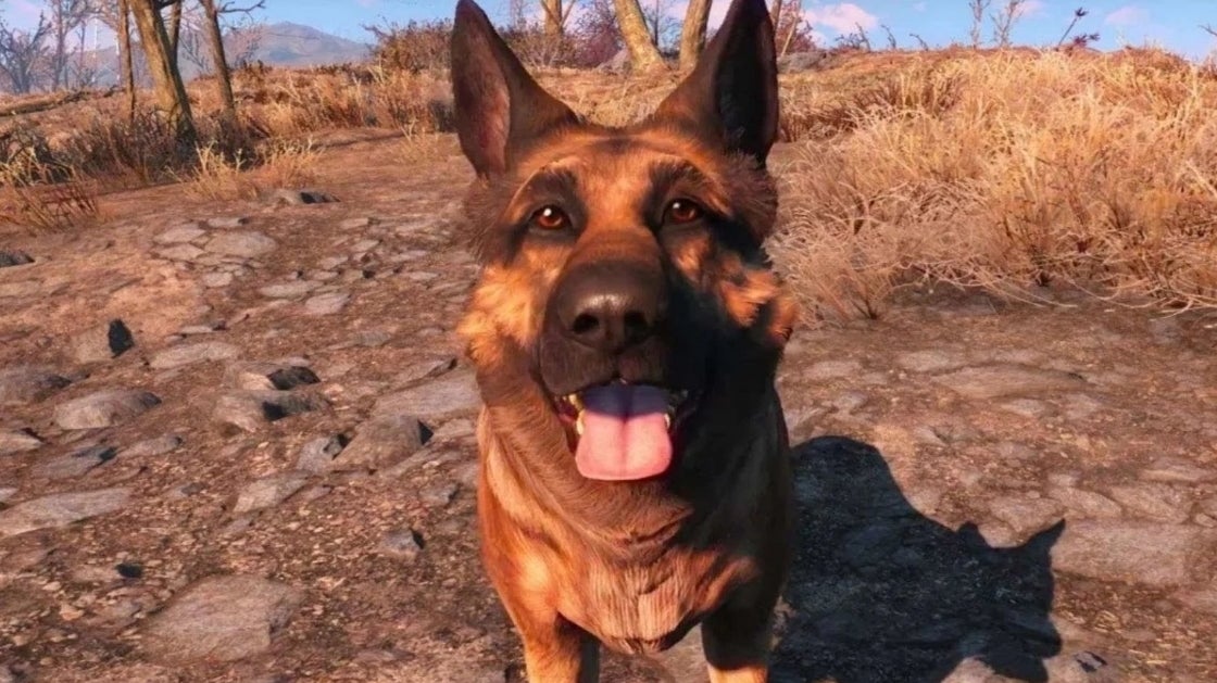 Imagem para Morreu River, a cadela que inspirou Dogmeat em Fallout 4