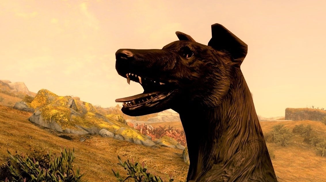 After a Skyrim modder's dog passed away, he immortalised him in this  beautiful tribute 
