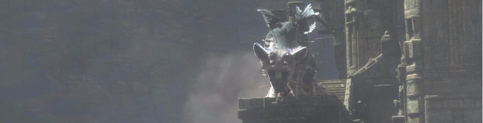 Image for “Never in my wildest imagination did I think The Last Guardian would take this long”