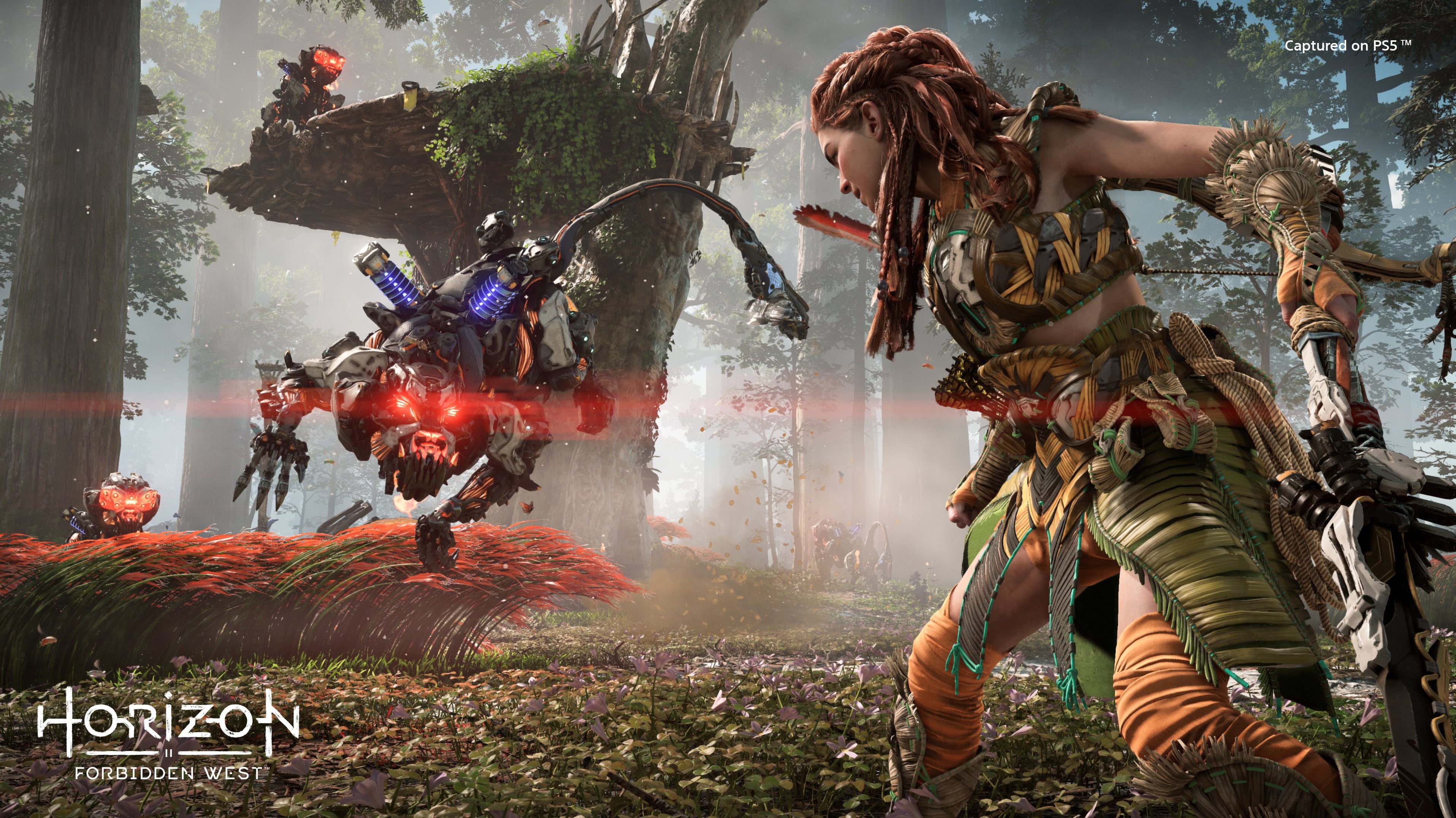 Horizon Zero Dawn PS4 PS5