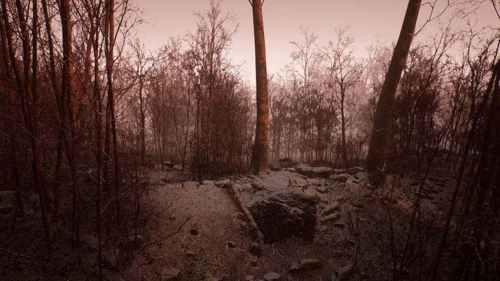 Immagine di Abandoned: lo sviluppatore ha parlato con Konami dei confronti con Silent Hill