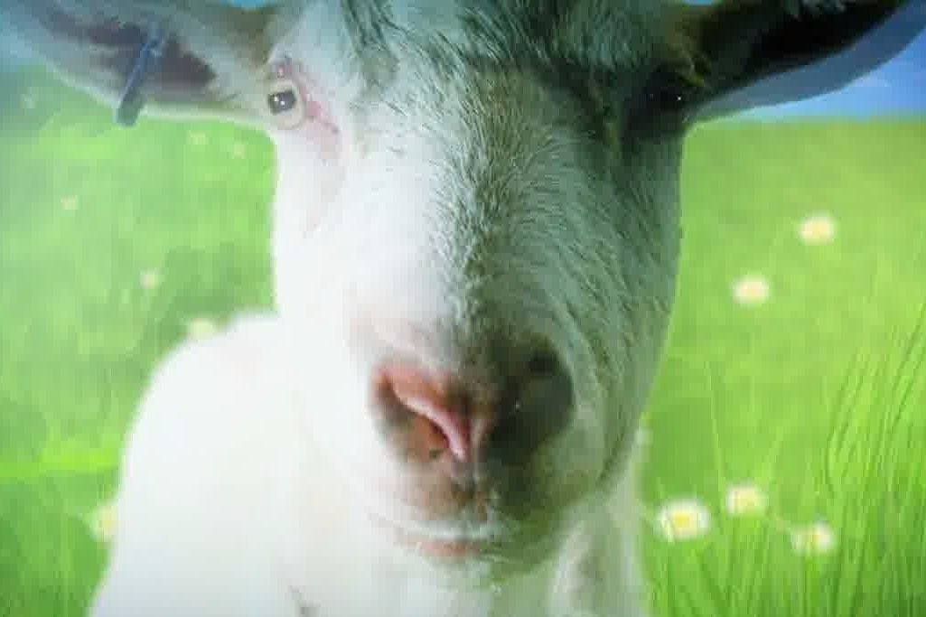 Immagine di Goat Simulator sta arrivando su Xbox