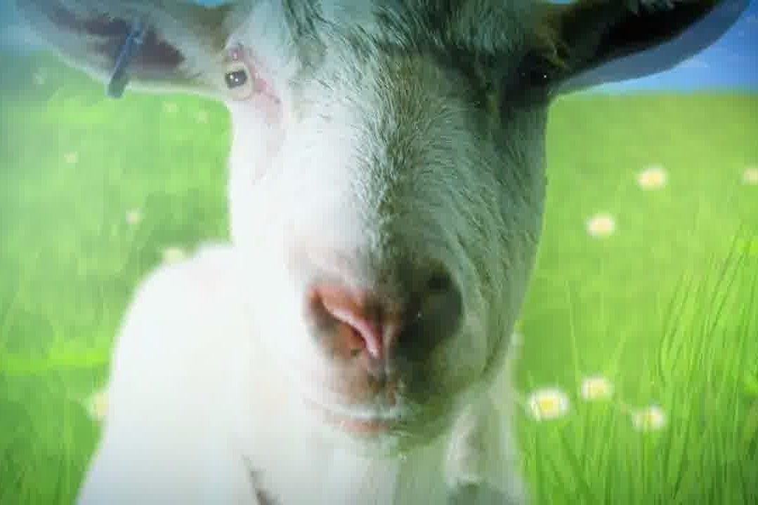 Immagine di Hideo Kojima è stato inserito nei credits di Goat Simulator
