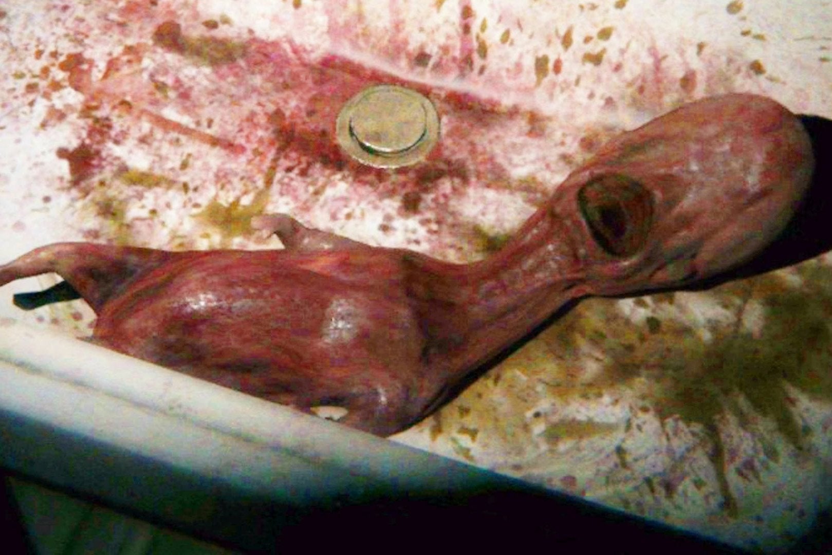 Imagem para Kojima não vai desenvolver um jogo semelhante a P.T.
