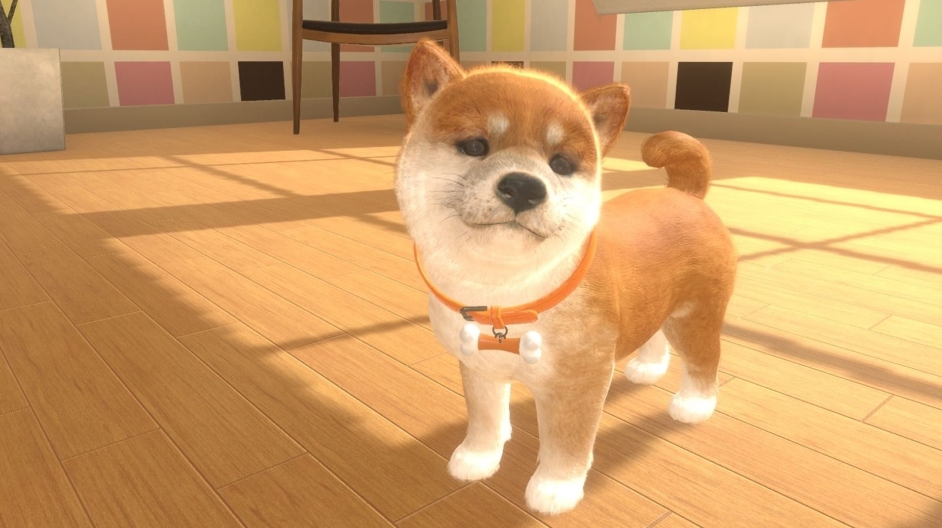 Immagine di Nintendogs, una cartuccia e i suo cuccioli virtuali abbandonati adottati in un video virale