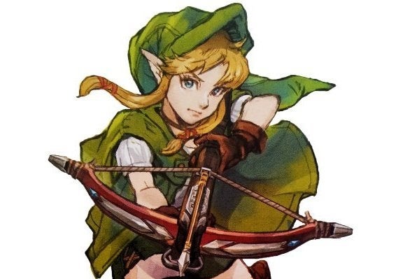 Image for Nintendo fans think female Link is in Hyrule Warriors 3DS